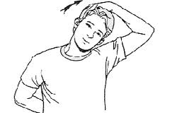 neck stretch for upper trap