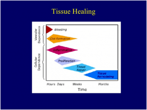 tissue healing stages and self treatment