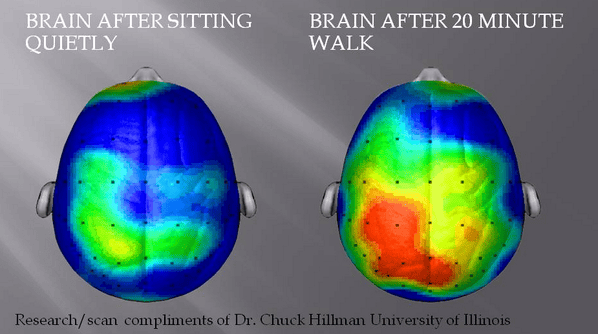 Exercise increases brain power and activation