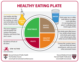 healthy eating plater - guide to eat better healthy