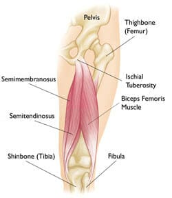 hamstring injury - how to heal fast and strong
