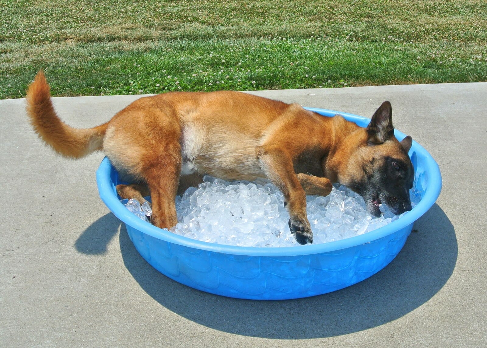 Ice bath - sprained knee treatment