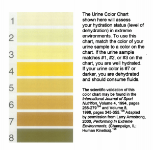 urine analysis dehydration