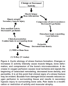 stress fracture cycle