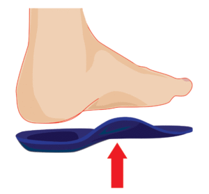 Orthotic