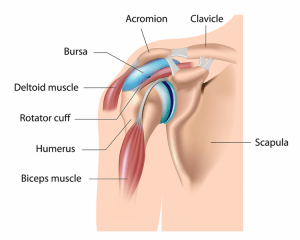 shoulder bursitis treatment exercises