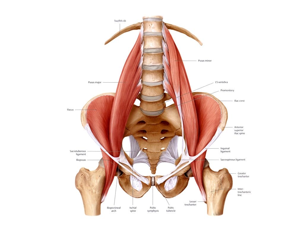 Hip flexor stretch lower back pain
